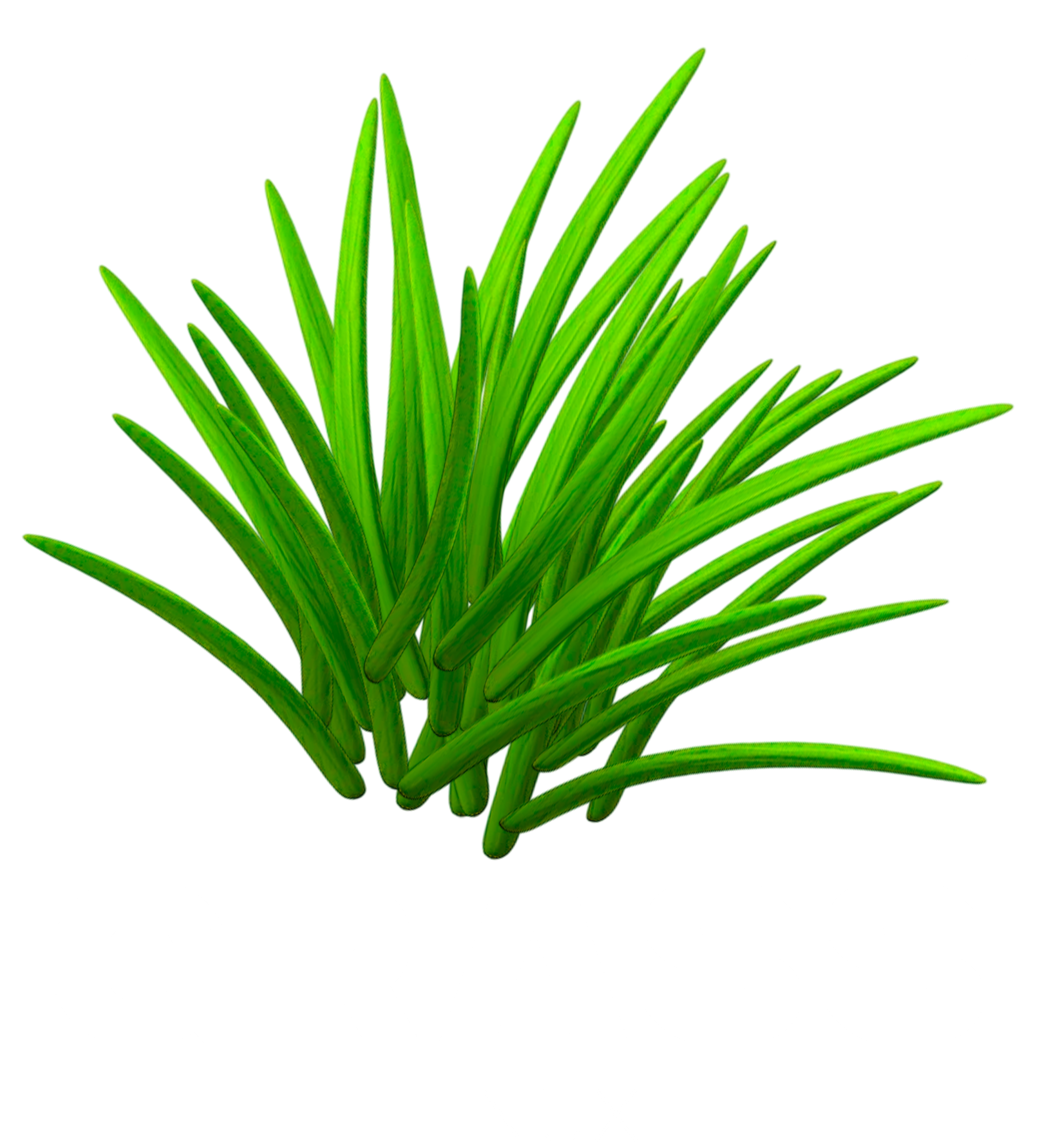 Grass Linux